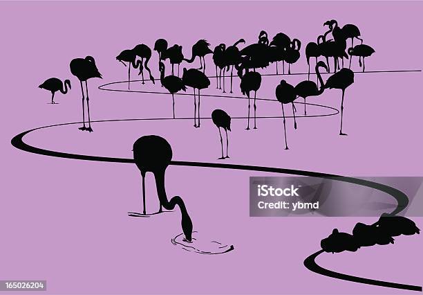 Flamingi Na Brzegu Sylwetka Wektor Jpg - Stockowe grafiki wektorowe i więcej obrazów Brzeg wody - Brzeg wody, Flaming, Grafika wektorowa