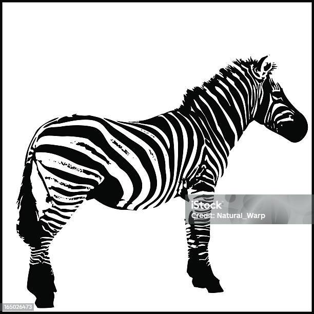 Zebra Totale - Immagini vettoriali stock e altre immagini di Abbigliamento mimetico - Abbigliamento mimetico, Africa, Animale