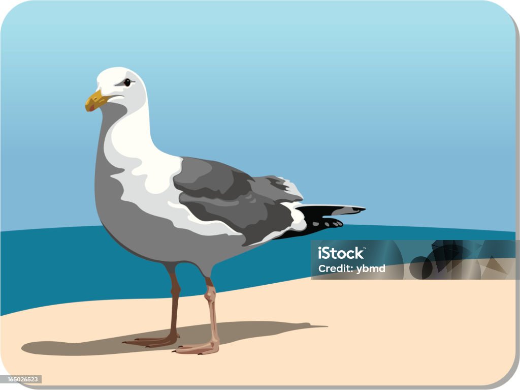 Gaivota na praia (vector - Vetor de Gaivota royalty-free