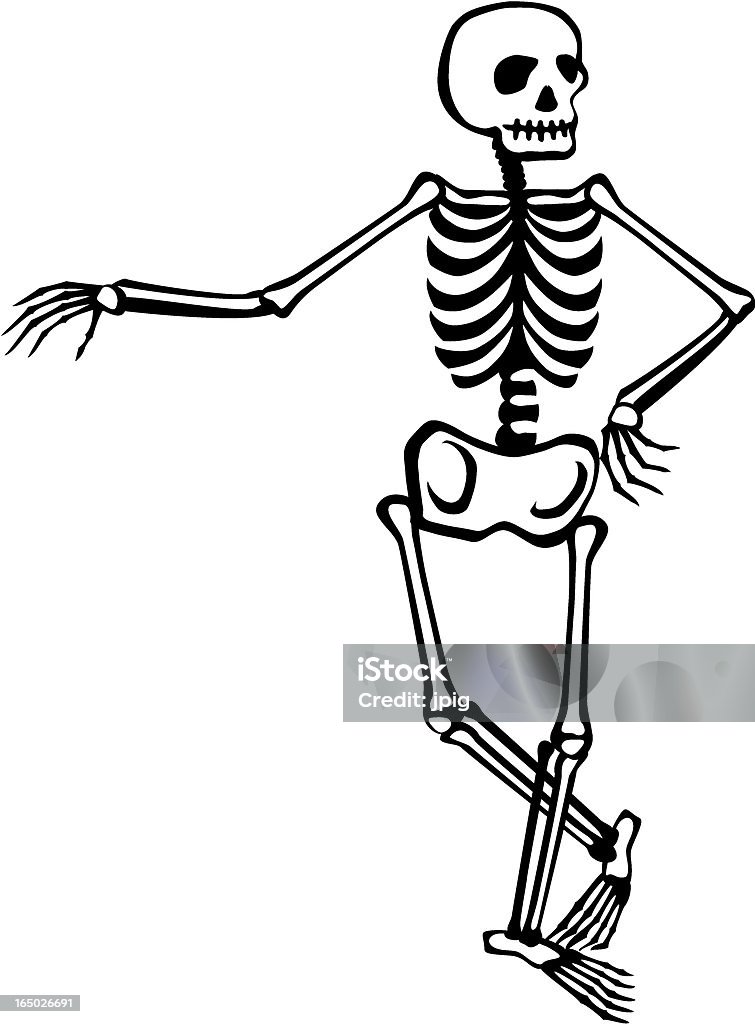 Skeleton-повседневный - Векторная графика Скелет человека роялти-фри