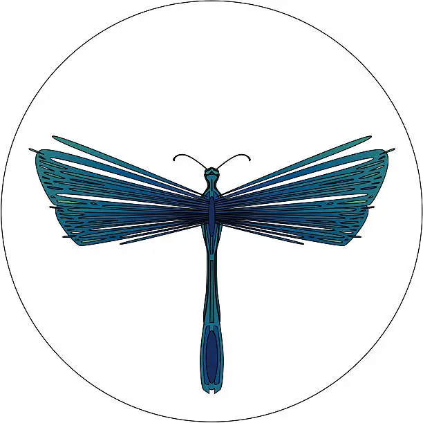 Vector illustration of Insect Design 02