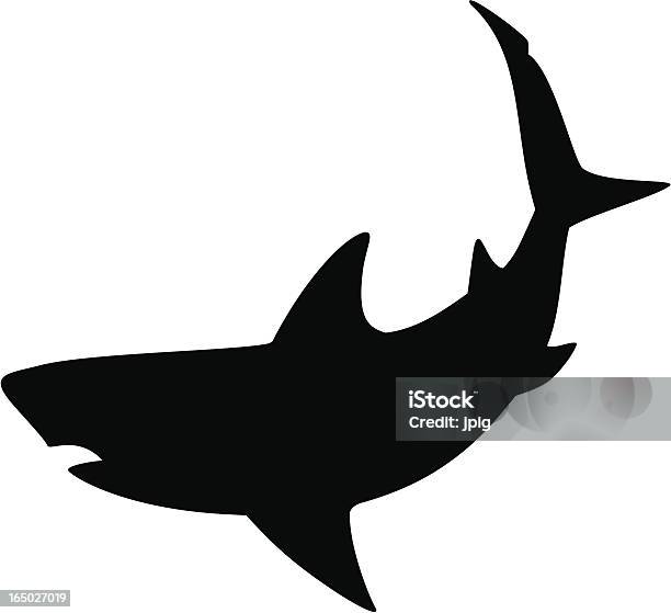 Hai 2 Stock Vektor Art und mehr Bilder von Hai - Hai, Plastikhai, Kontur