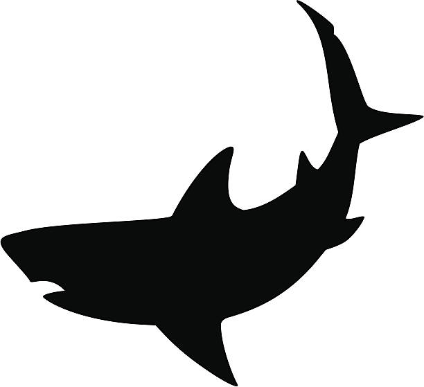 Shark 2 Dangerous looking white shark. Designed to fit inside a circle. shark stock illustrations