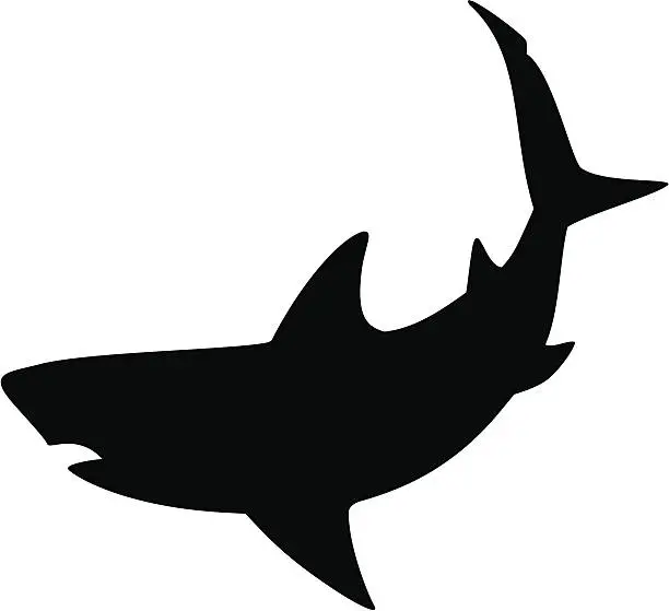 Vector illustration of Shark 2
