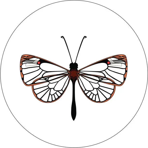 Vector illustration of Insect Design 09