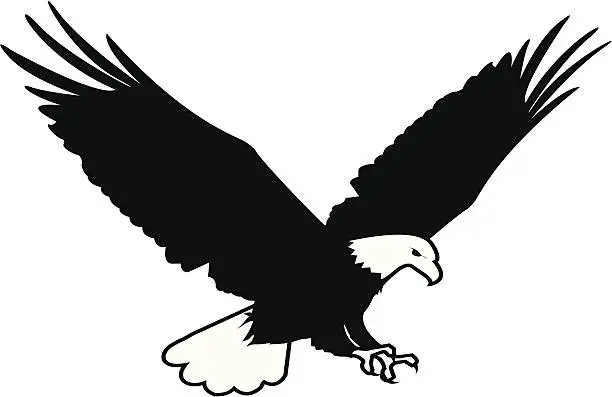 Vector illustration of Soon Eagle Ilustration