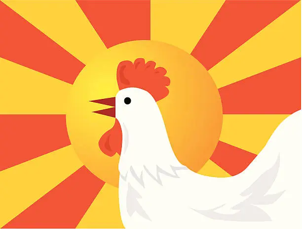 Vector illustration of Calling The Cock at morning