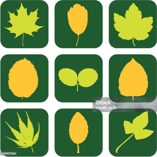 Feuille Dicônes Écologique Vecteur Vecteurs libres de droits et plus d'images vectorielles de Feuille - Feuille, Arbre, Automne