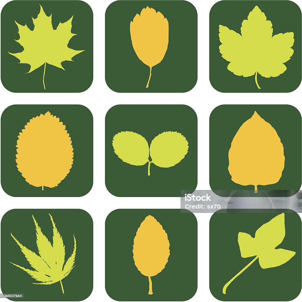 Eco Friendly Leaf Icons ( Vector ) Leaf icons. Maple, rose, ivy..etc. Leaf stock vector
