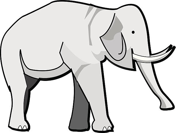 ilustrações de stock, clip art, desenhos animados e ícones de elefante - snif