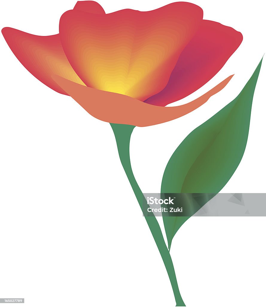 Kwiat Mak - Grafika wektorowa royalty-free (Mak - roślina)
