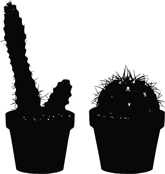 Vector illustration of Cacti