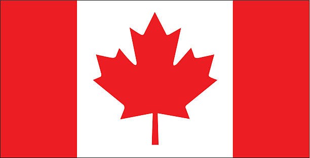 kanadische flagge vektor - canadian flag stock-grafiken, -clipart, -cartoons und -symbole