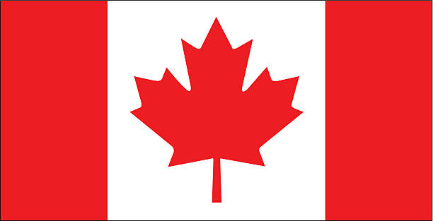 illustrazioni stock, clip art, cartoni animati e icone di tendenza di vettore di bandiera canada - canadian flag immagine