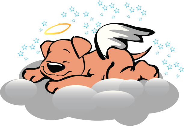 Ilustración de Ángel Cachorro y más Vectores Libres de Derechos de Perro - Perro, Ángel, Ala de animal - iStock Ilustración de Ángel Cachorro y más Vectores Libres de Derechos de Perro - Perro, Ángel, Ala de animal - iStock