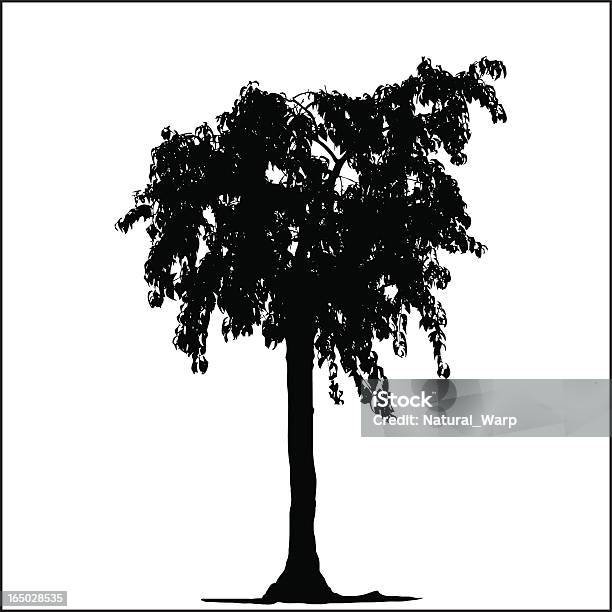 나무 실루엣 07 느릅 나무에 대한 스톡 벡터 아트 및 기타 이미지 - 느릅 나무, 벡터, 가을