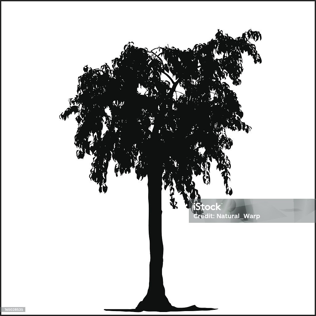 Silhueta de árvore 07 - Vetor de Olmo royalty-free