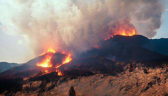 A forest glows as the fire burns out of control on a mountain hillside in the Pike National Forest behind the Platte Canyon High School as it works it way through the pine trees above highway 285 near the small town of Bailey, Colorado.