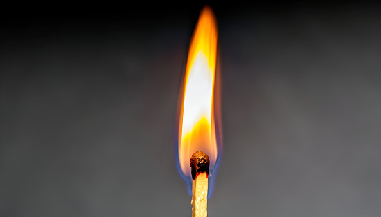 Close Up of a Match Lit with Grey Background