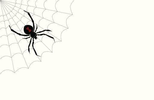 This is a vector (line art) illustration of a black widow spider on her web with a white background. There are EPS, Illustrator CS and WMF files included.