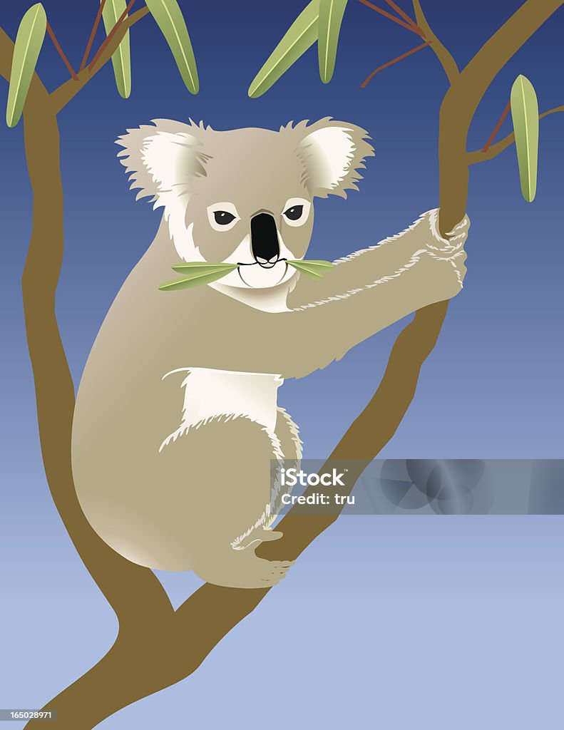 Koala manger à l'eucalyptus - clipart vectoriel de Koala libre de droits