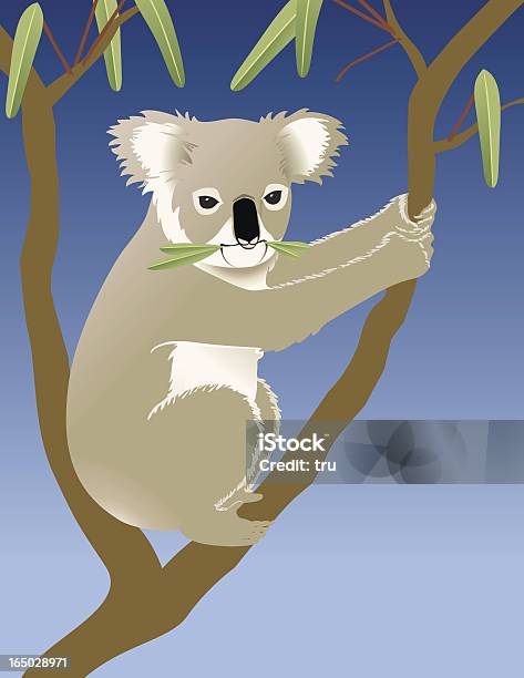 Koala Manger À Leucalyptus Vecteurs libres de droits et plus d'images vectorielles de Koala - Koala, Arbre, Australie