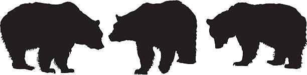Grizzly Bears - Silhouette vector art illustration