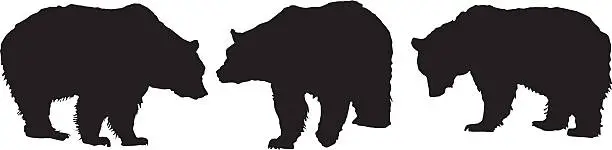 Vector illustration of Grizzly Bears - Silhouette