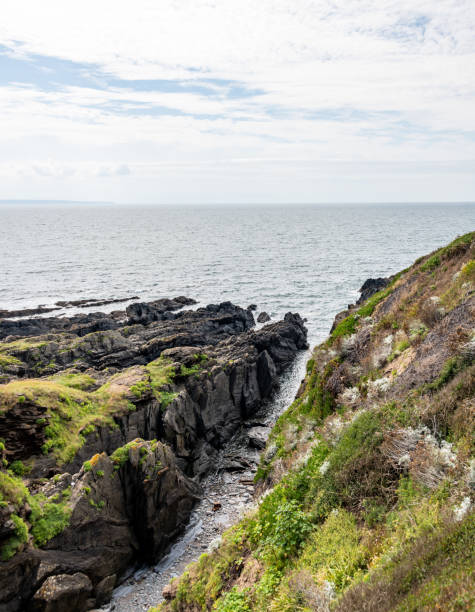 istock Craggy coastline at Baggy Point 1650290494