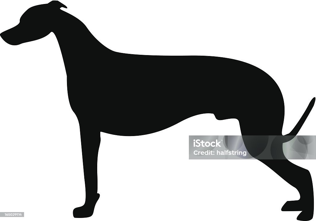 Whippet - clipart vectoriel de Lévrier libre de droits