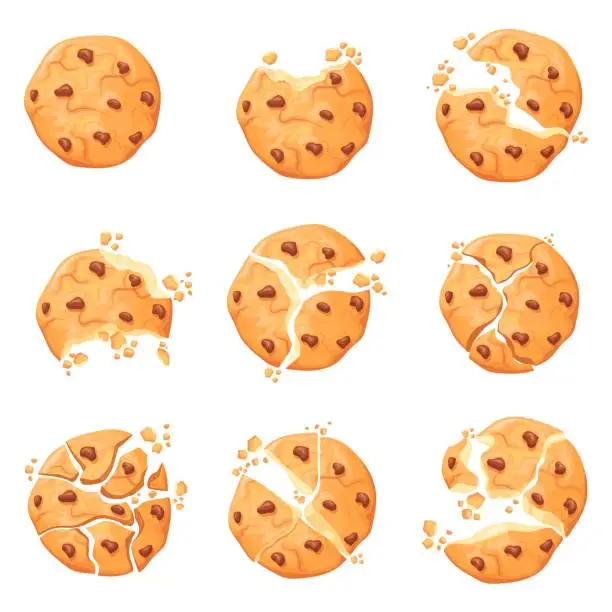 Vector illustration of Crumbling cookie. Crunchy yummy cookies with chocolate crumb broken texture, bitten piece of homemade biscuit sugar chip cake traditional sugar dessert, neat vector illustration