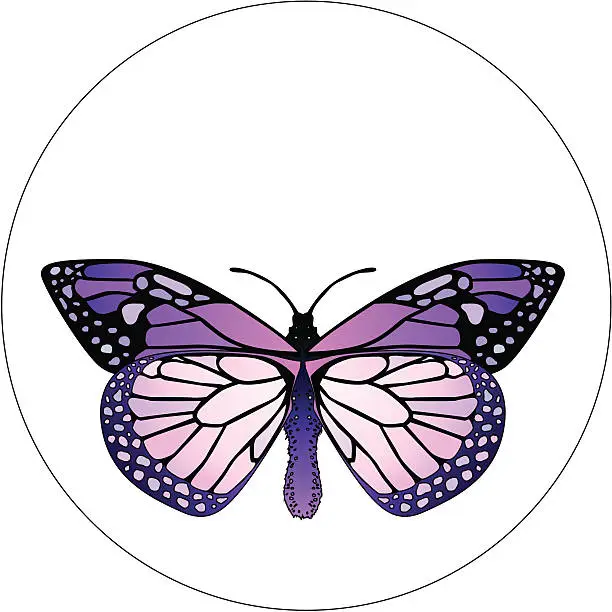 Vector illustration of Insect Design 18