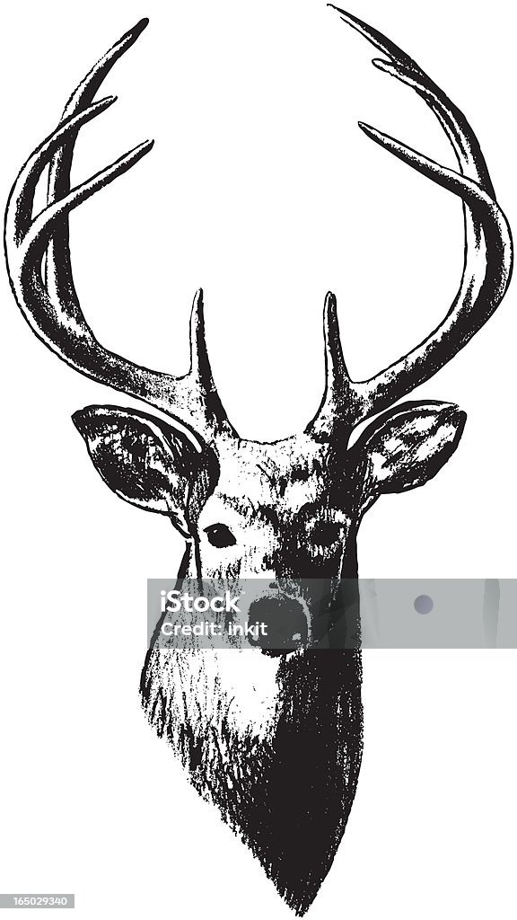 Deer Kopf (Vektor - Lizenzfrei Hirsch Vektorgrafik