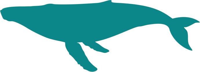 Humpback whale swimming, full side view, tail down, silhouette illustration. High resolution transparent PNG also included. If you like this image, you may also like my 