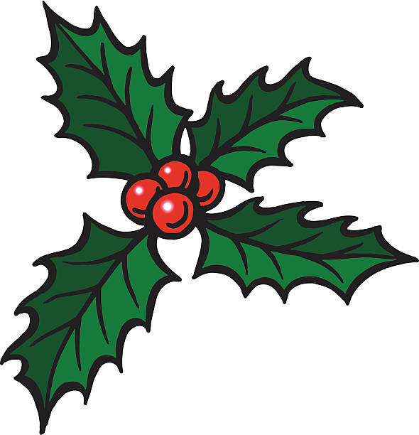 Mistletoe vector art illustration