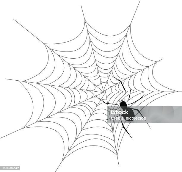 Spider Guarding Its Web Stock Illustration - Download Image Now - Animal, Animal Body Part, Animals Hunting