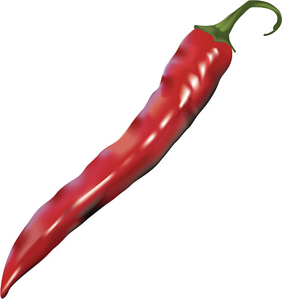 Peperoni, rojo guindilla (Vector - ilustración de arte vectorial