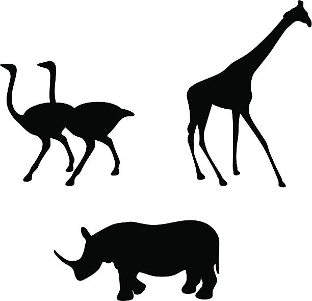 Bекторная иллюстрация Африканских животных: Жираф, Rhino & Страус