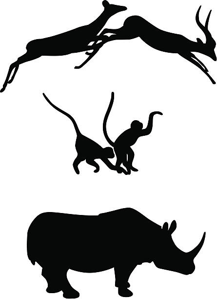 Bекторная иллюстрация Африканских животн�ых (мех антилопы обезьян & Rhino