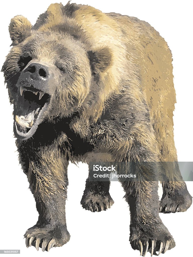 Oso de Grizzly de vector - arte vectorial de Oso libre de derechos