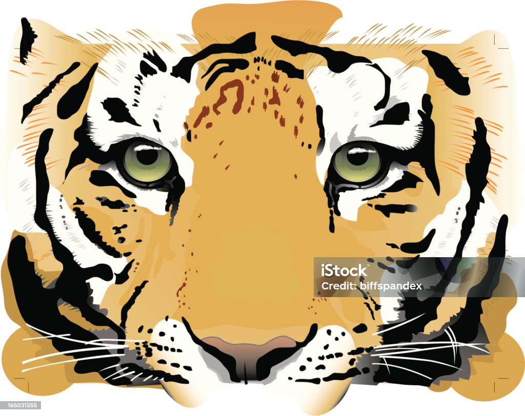 Tiger olhos-vetor - Vetor de Pata com Garras royalty-free