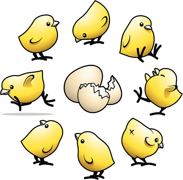 süße kleine chicks - kaputtlachen stock-grafiken, -clipart, -cartoons und -symbole