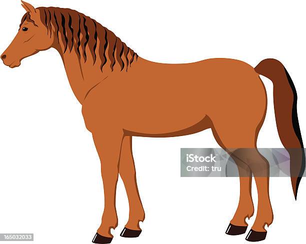 Illustrazione Di Cavallo - Immagini vettoriali stock e altre immagini di Cavallo - Equino - Cavallo - Equino, Stare in piedi, Animale