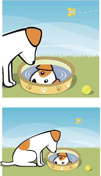 Dog Reflection Drawing 130+ Dog Reflection In Water Stock Illustrations, Royalty-Free Vector ...