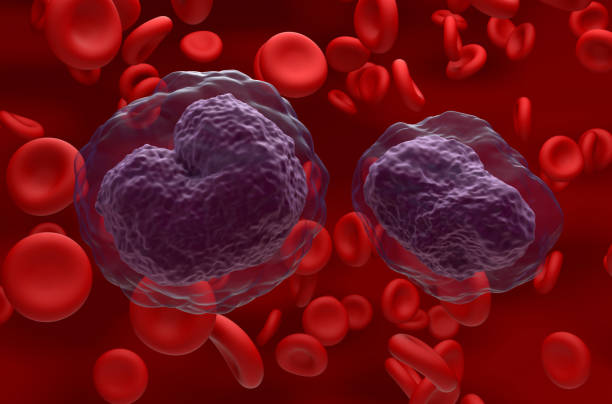 lymphome non hodgkinien cellules du lnh dans le flux sanguin - vue rapprochée illustration 3d - hodgkins disease photos et images de collection