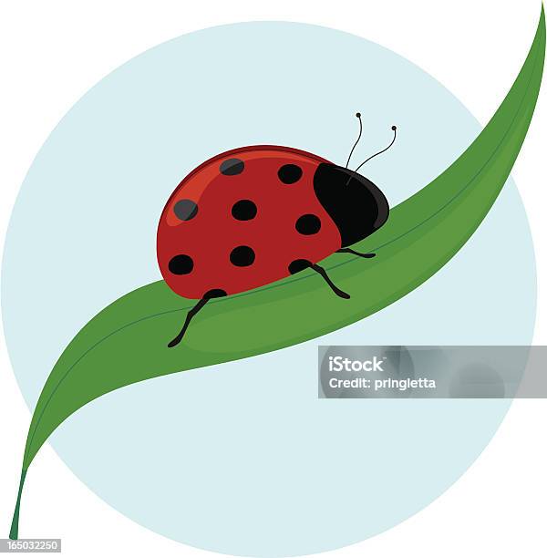 Vetores de A Senhora Deputada Ladybuginclui Jpeg e mais imagens de Animal - Animal, Antena - Parte do corpo animal, Engatinhar