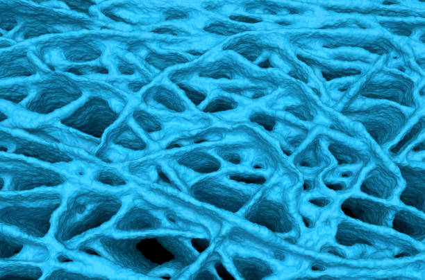 istock Artificial tissue growing with hyaluronic acid's help - isometric view 3d illustration 1650324217