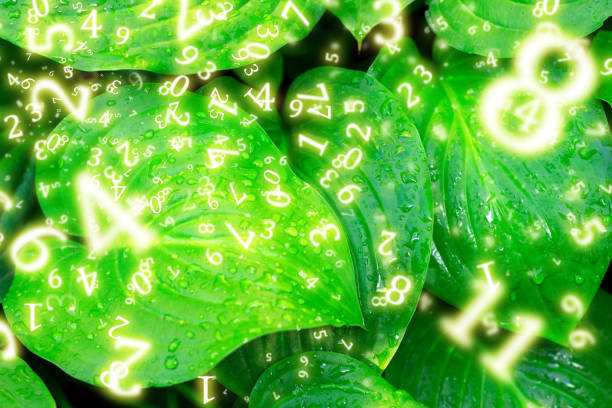 istock numerology, green beautiful leaves close-up surrounded by numbers 1650325049