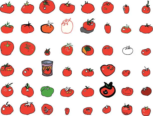 Vector illustration of Tomato Bushel - 47 tomatoes & 1 can of sauce (illustration)