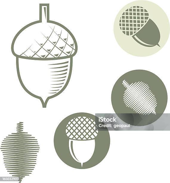 도토리벡터 기호들 도토리에 대한 스톡 벡터 아트 및 기타 이미지 - 도토리, 견과, 과일